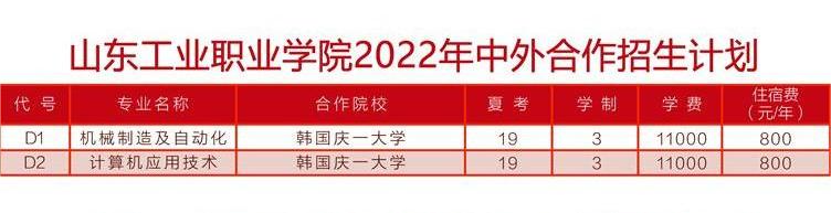 2022山东工业职业学院中外合作办学学费多少钱一年-各专业收费标准