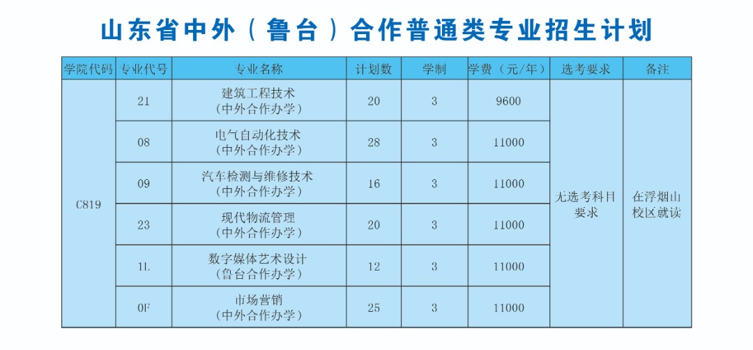 2022山东科技职业学院中外合作办学学费多少钱一年-各专业收费标准